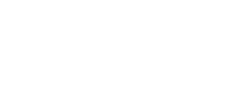 Meli Studio Logo